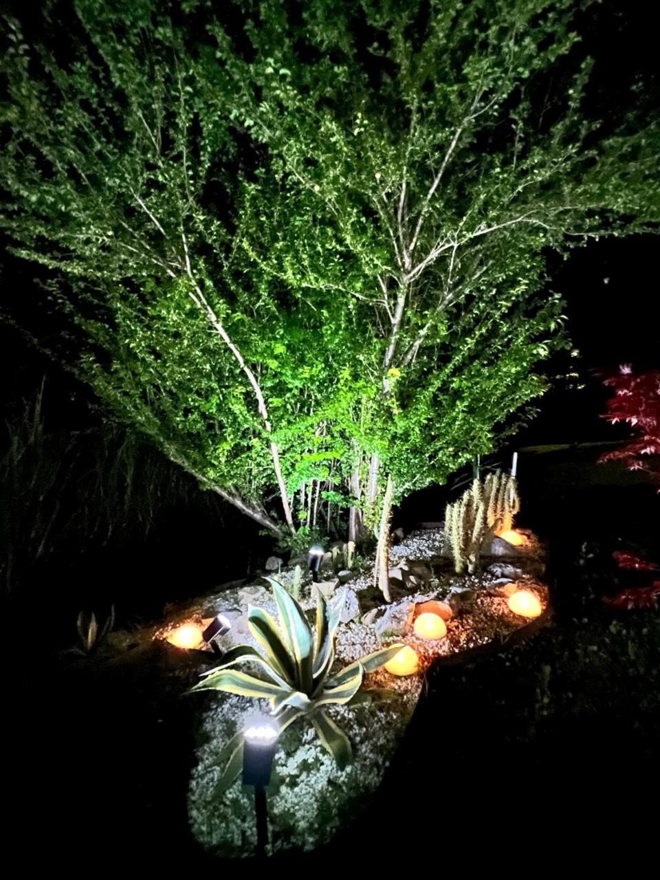 Bed and Breakfast Gan Eden San Benedetto Del Querceto Exterior foto