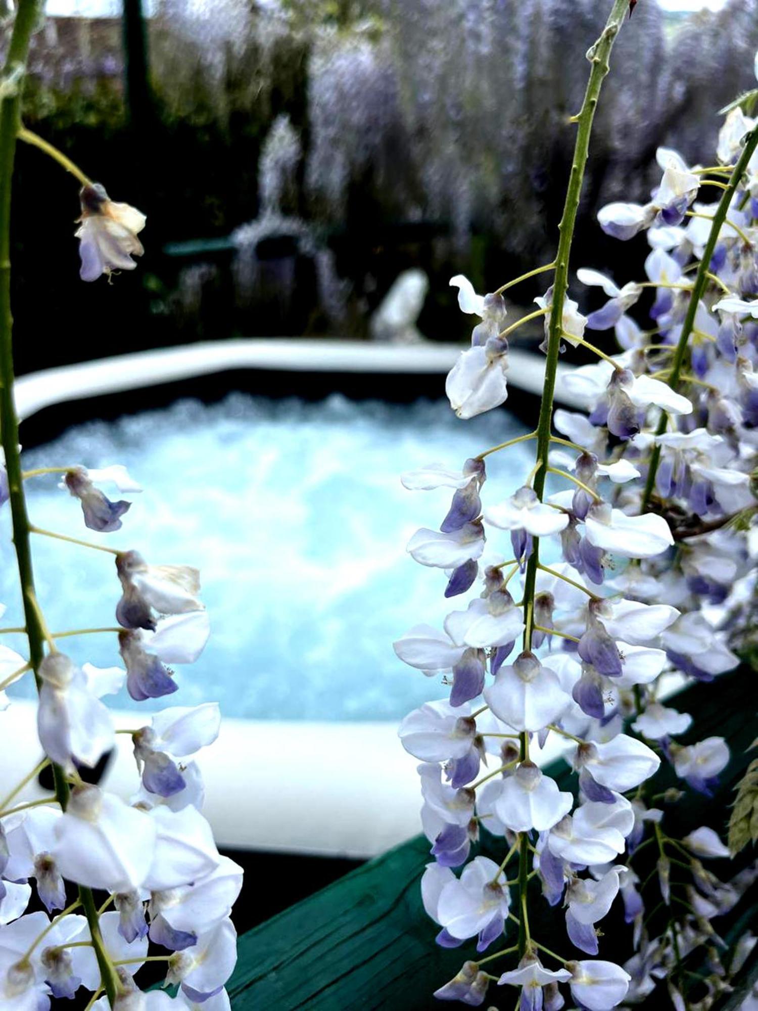 Bed and Breakfast Gan Eden San Benedetto Del Querceto Exterior foto